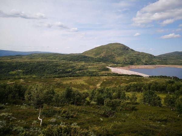 Fjellbjørk og lettløpte myrer venter under Sommerløpene!