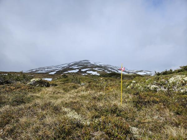 Image for Husk påmelding til Fjord-o!