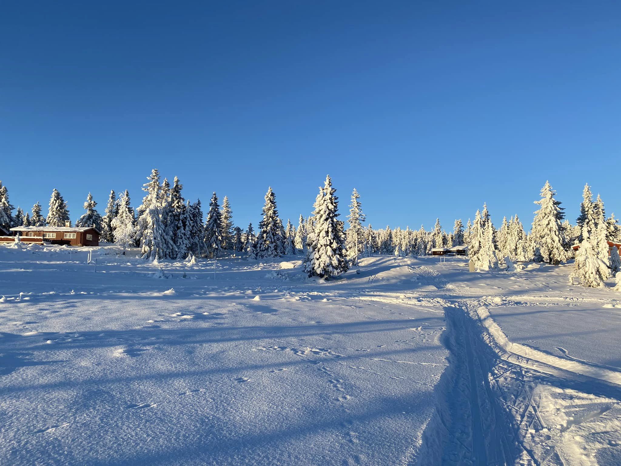 Åpen ski-o samling for junior!