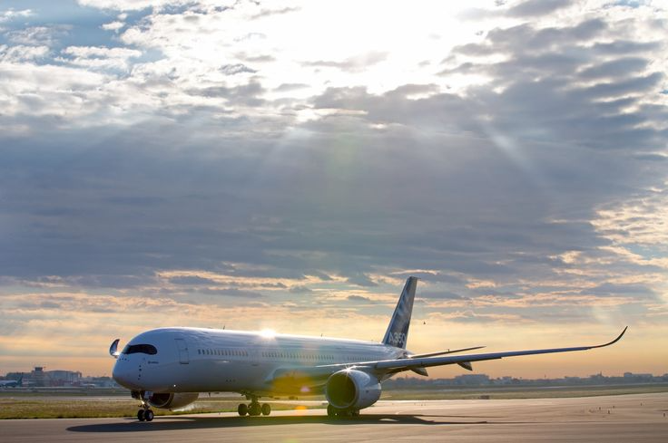 Delta Airlines Amman Office
