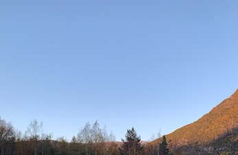 Hinderløype/ tulle turnering