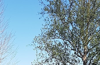 2 dagers Tour Kristiansund-Rauma