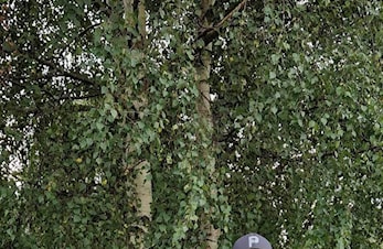 Klubbmesterskap 2023