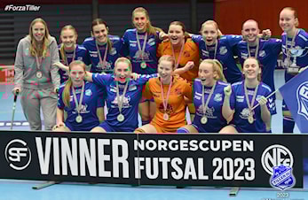 Norgesmester i futsal