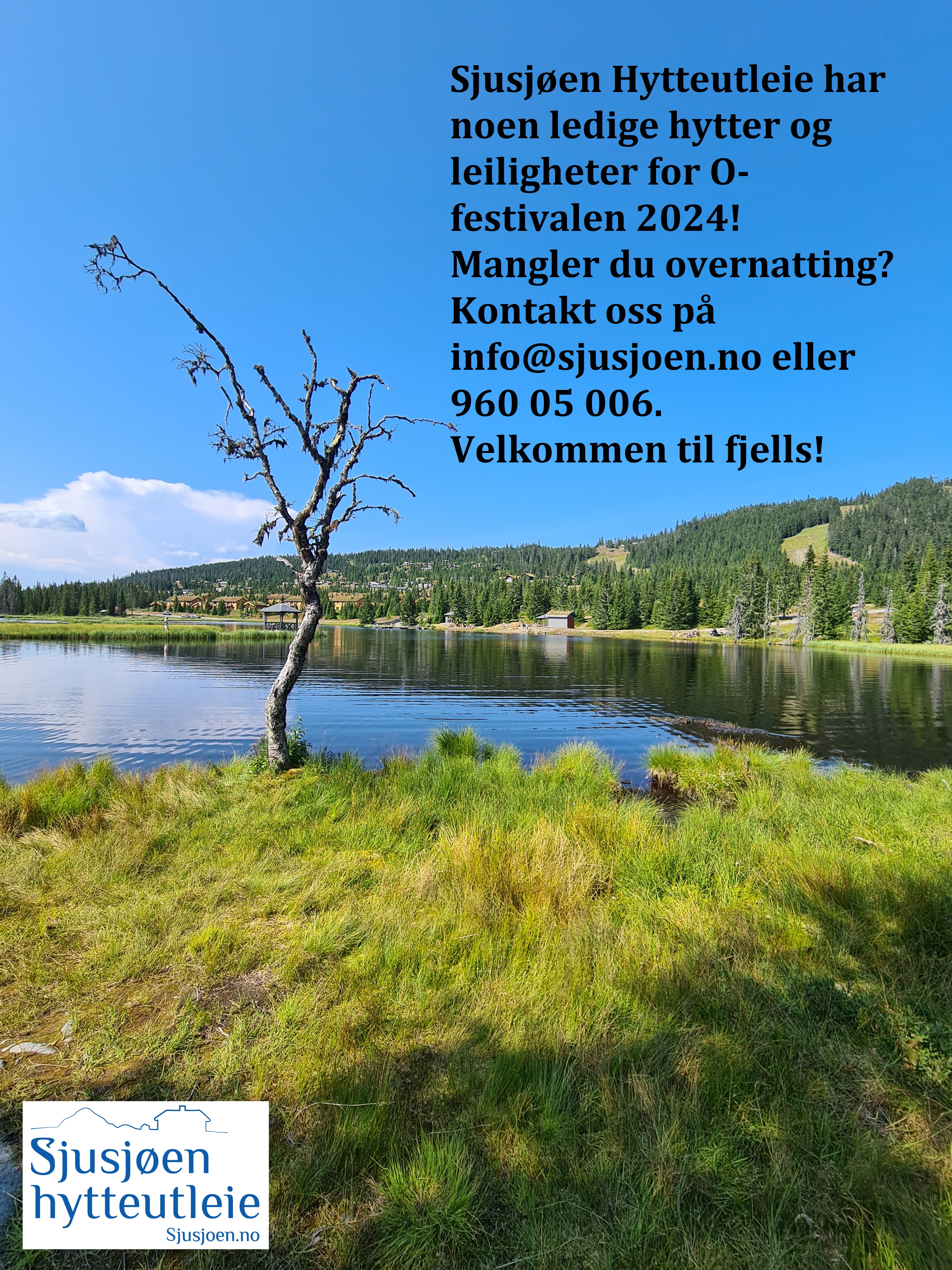 Image for Sjusjøen Hytteutleie har ledige hytter!