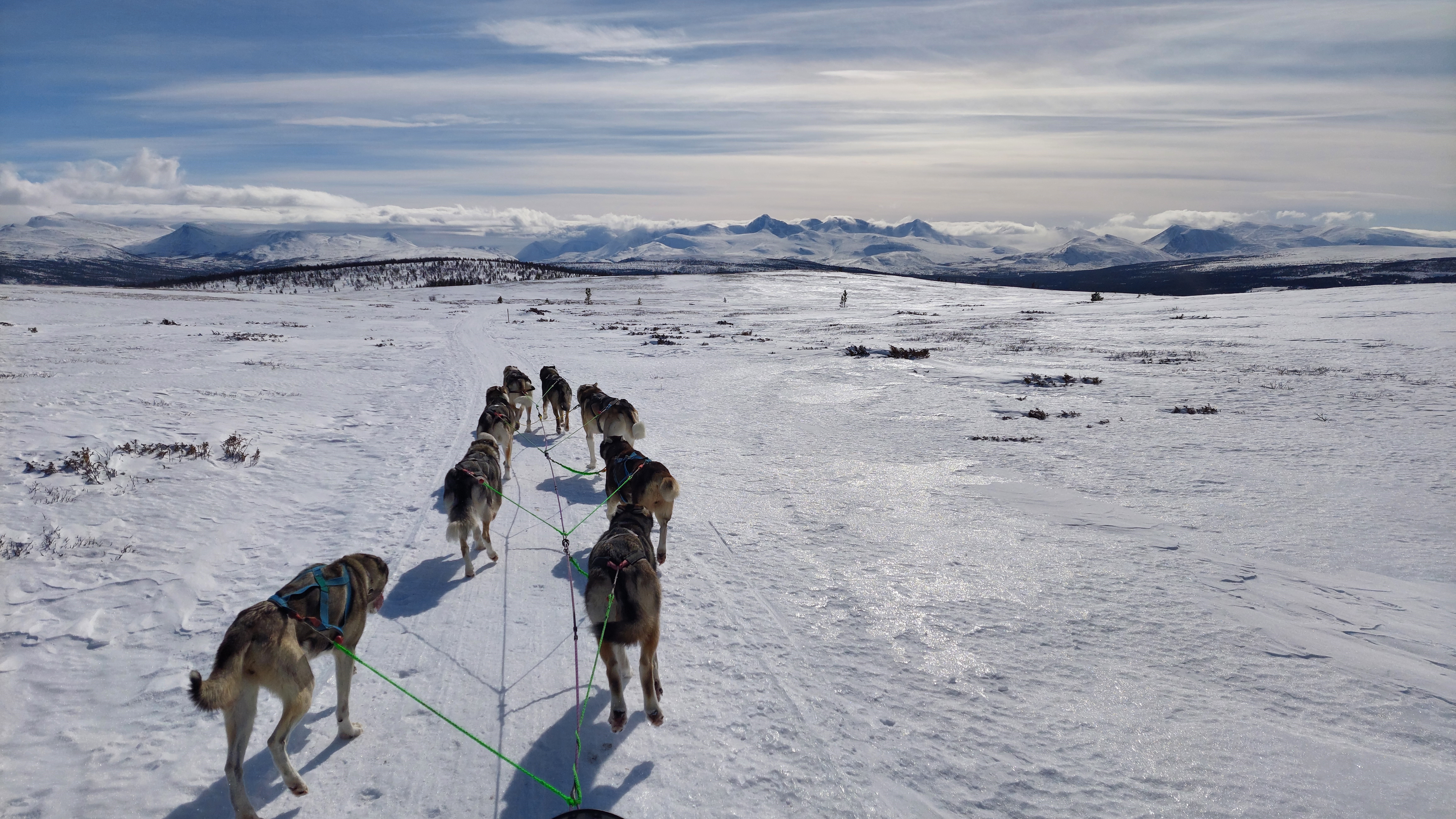 Dokumenter til årsmøte