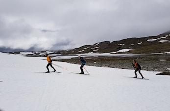 Snøsamling på Sognefjellet