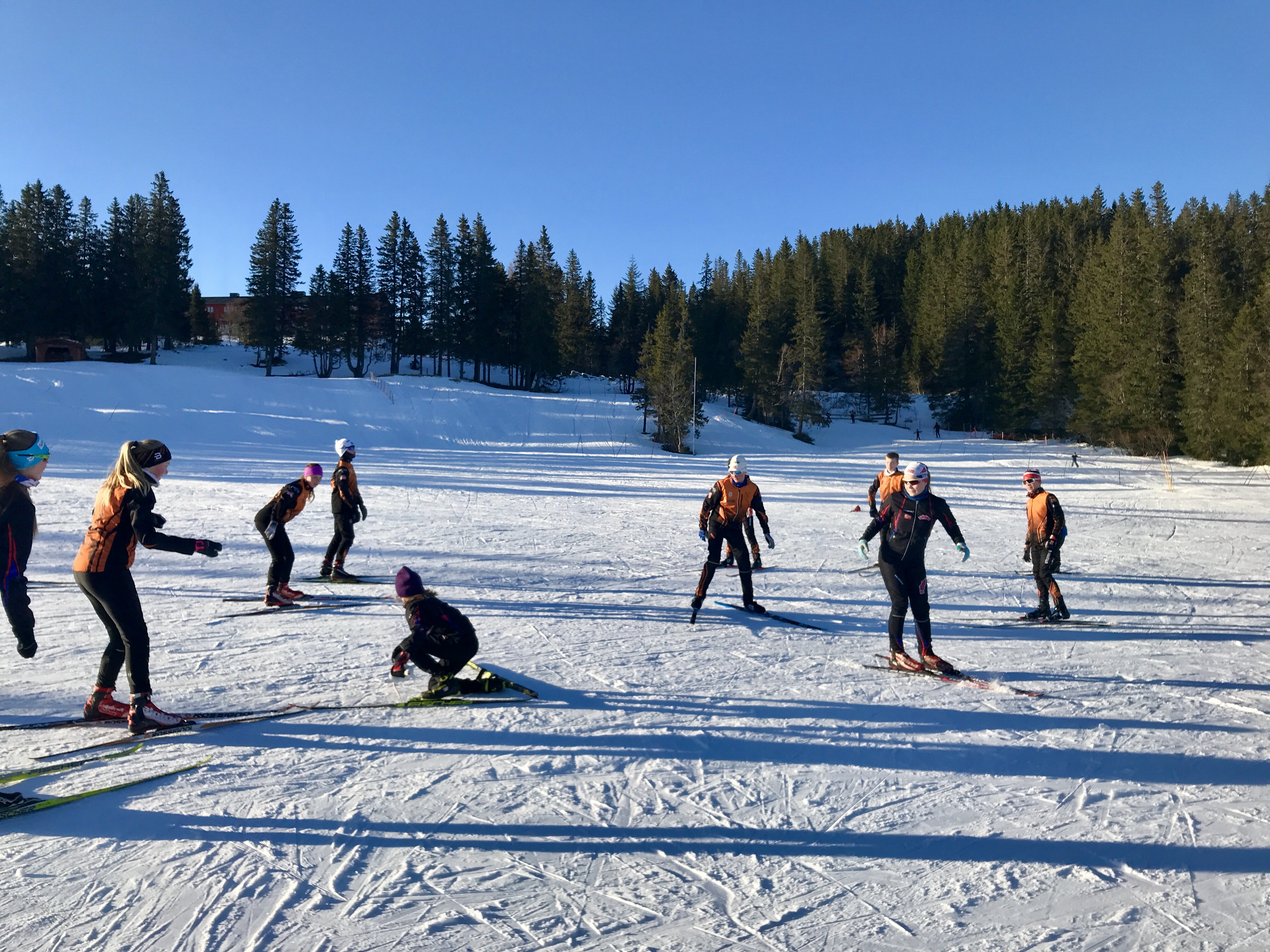 Aktivitetsavgift for skisesongen