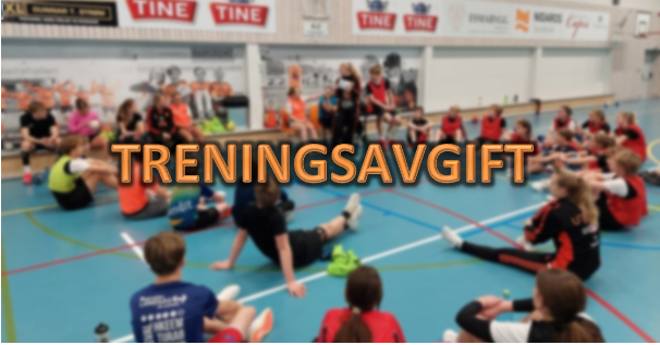 Treningsavgift høst 2021