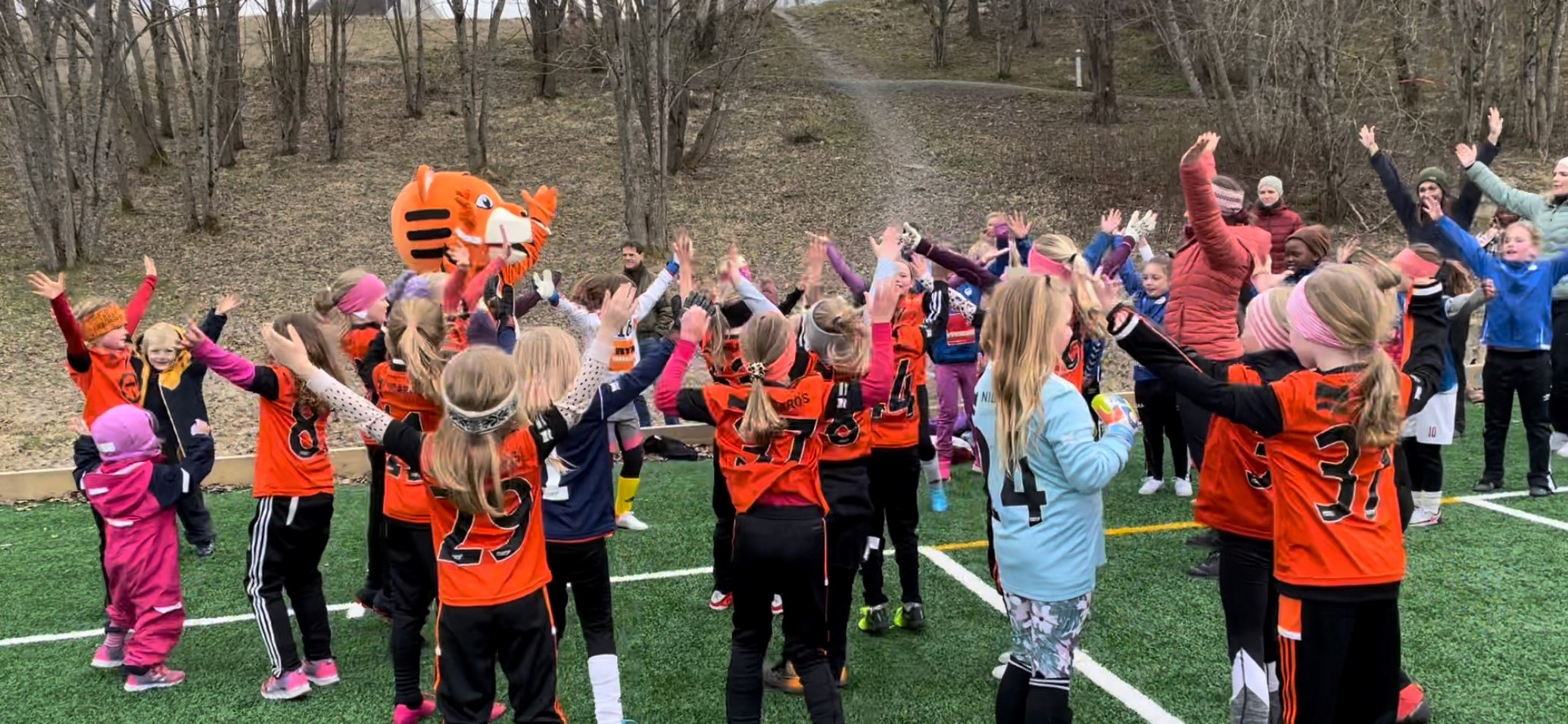 Utbedringer i Stordalen