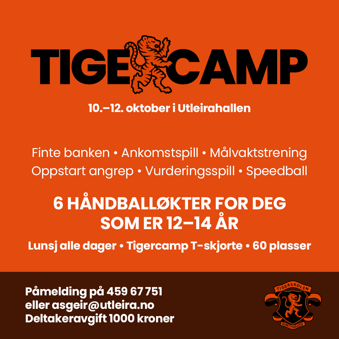 Ny tiger camp i høstferien
