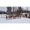 Snøsamling i Vålådalen!