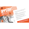 Oppstart av 2019-årgangen i håndball