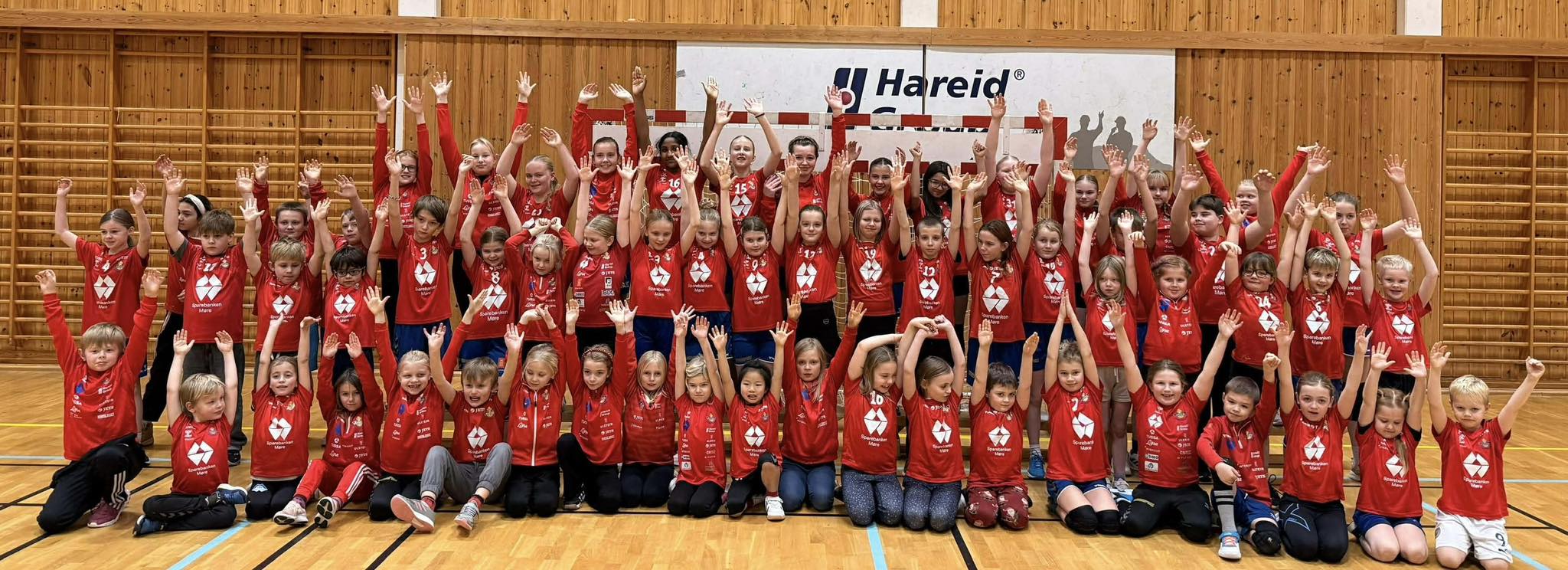 Image for Velkommen til handballskule 