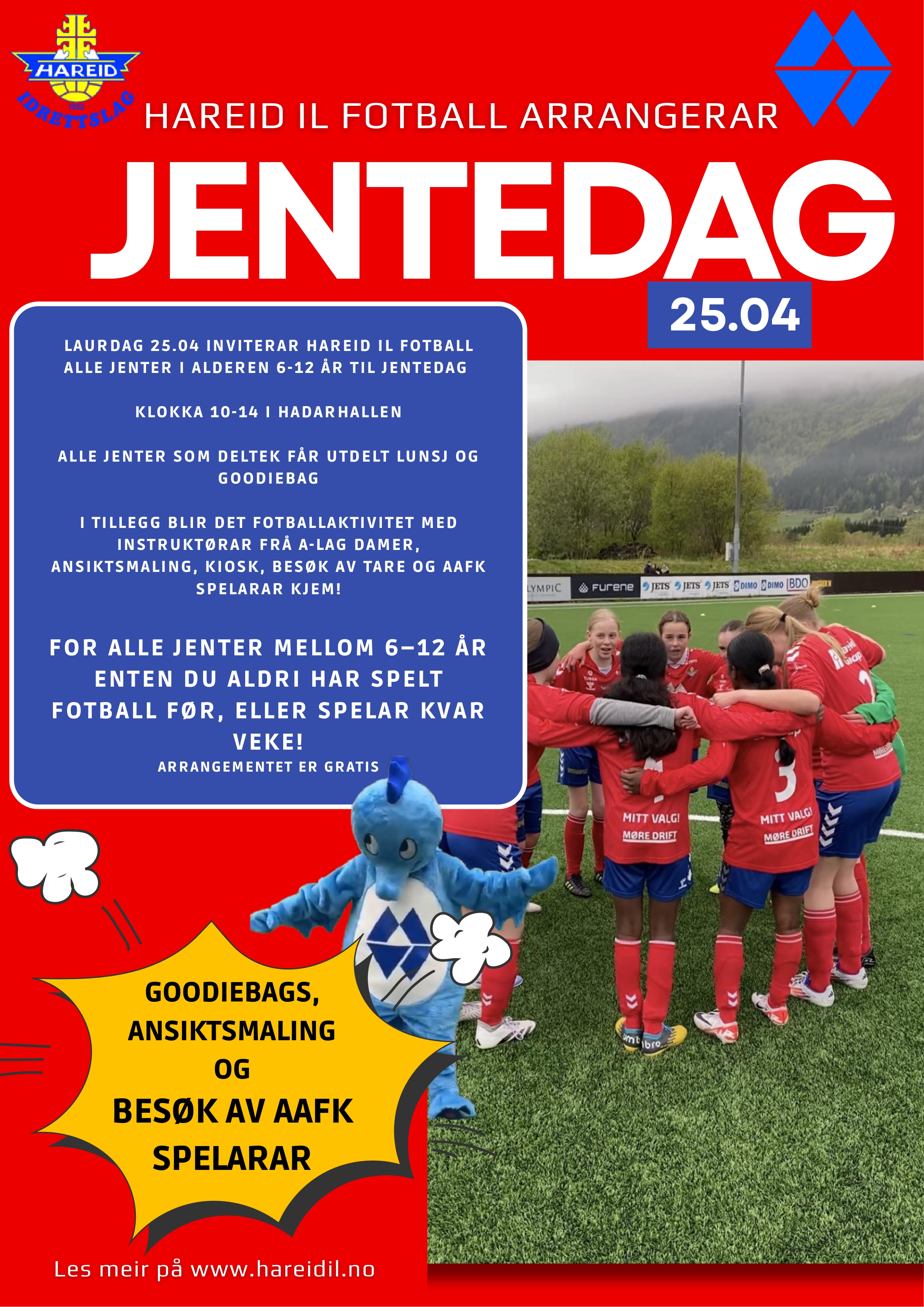 Image for Jentedag