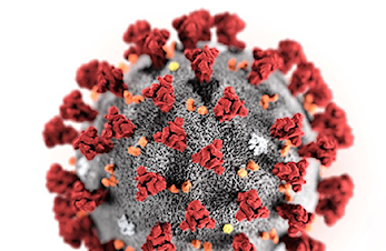 Viktig informasjon vedrørende koronavirus