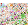 Arrangør og løypelegger seminar 20 mars 2025