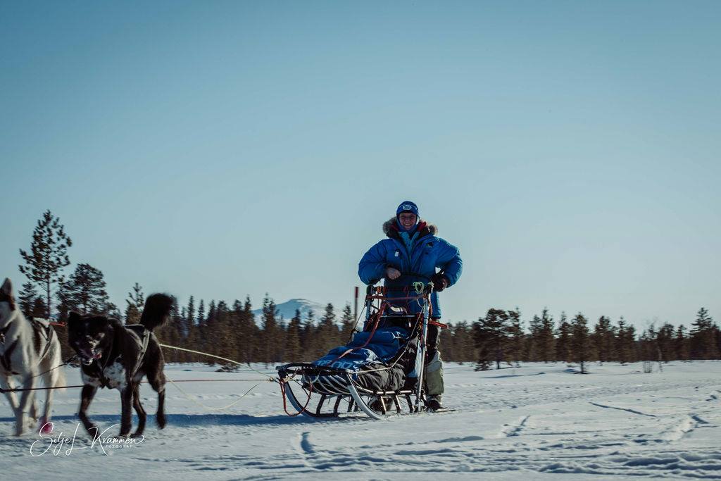 Image for Dronningen av Pasvik Trail 