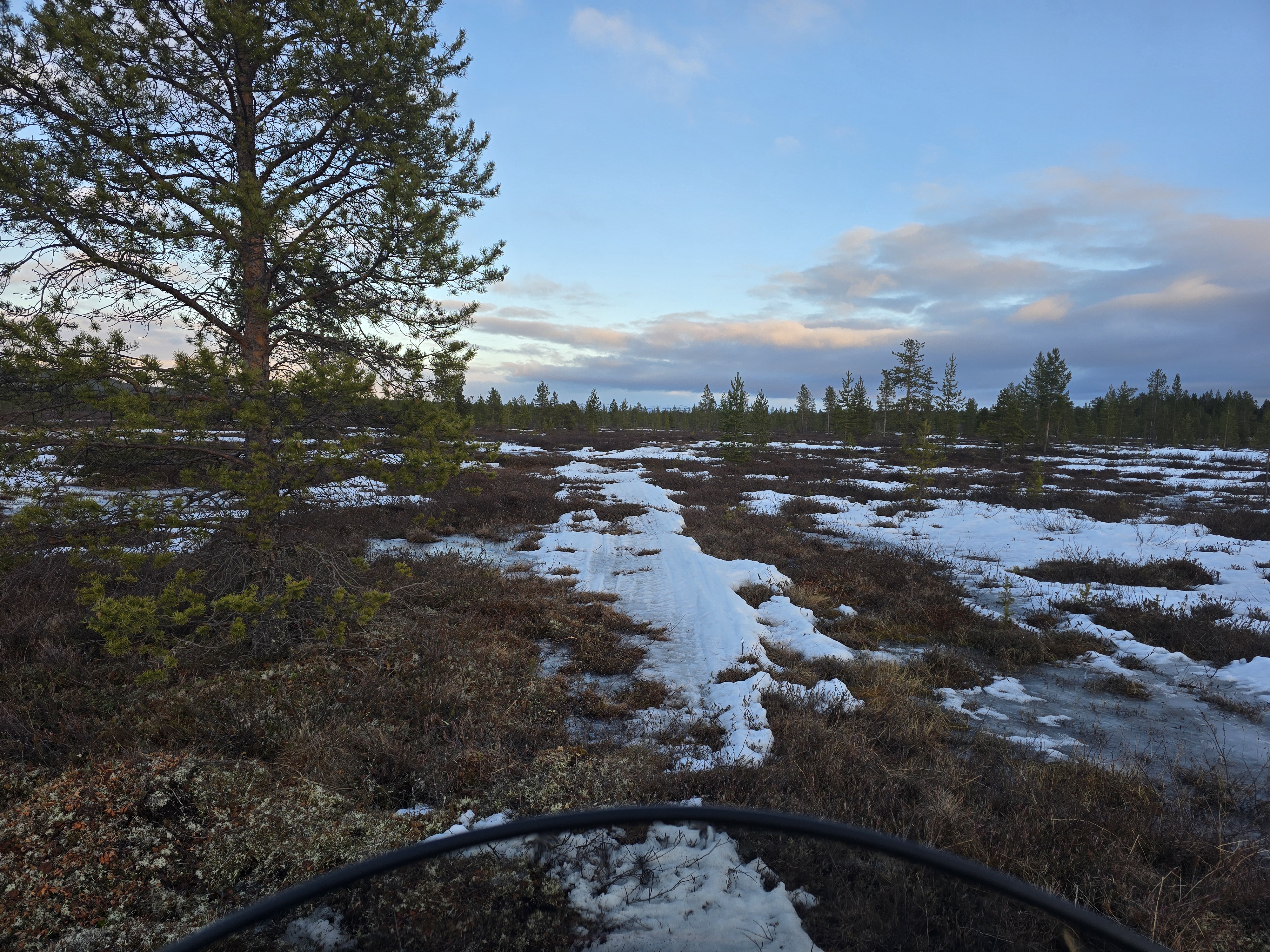 Image for Tidlig vår i Sør-Varanger - Pasvik Trail avlyst