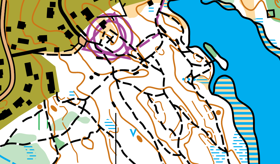 Resultat klubbmesterskap skog