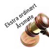 Ekstra ordinært Årsmøte