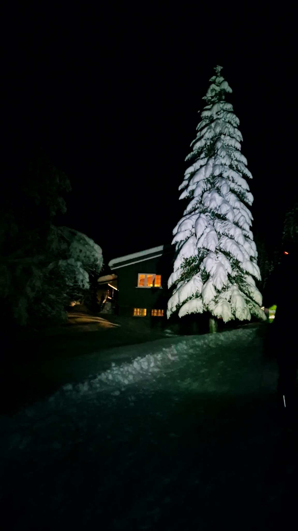 Aktivitetshelg på Grønningen 2025