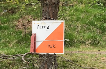 Kajakorientering 2025