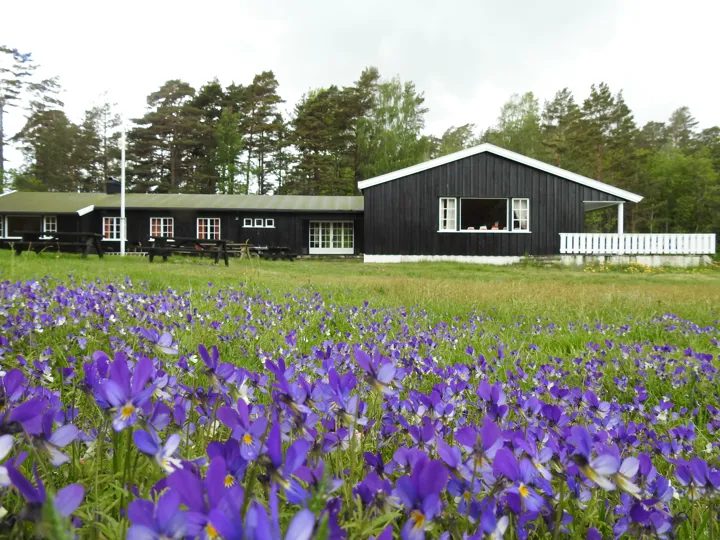 Image for Helgetur til Malmøya - vil du teste litt bølger eller padle i nytt område?