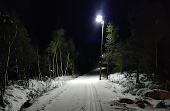 Flotte forhold på Myr