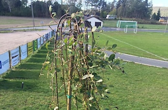 Dugnad gjennomført