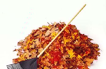 Høstdugnad lørdag 27 oktober