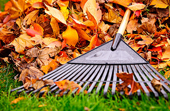 Vårdugnad på Mjær stadion og Drivplassen