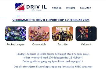 Driv IL E-sport Vintercup 2025