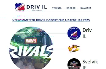 Driv IL E-sport Vintercup 2025