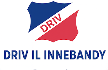 Vil du være med å skape liv i innebandygruppa?