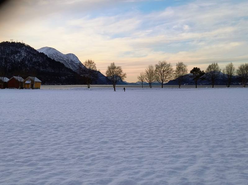 Image for Liv og røre på Prestegardmarka