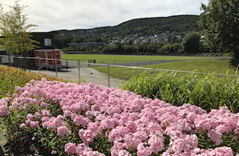Tidsskjema Åpninsstevne 26.mai 2024