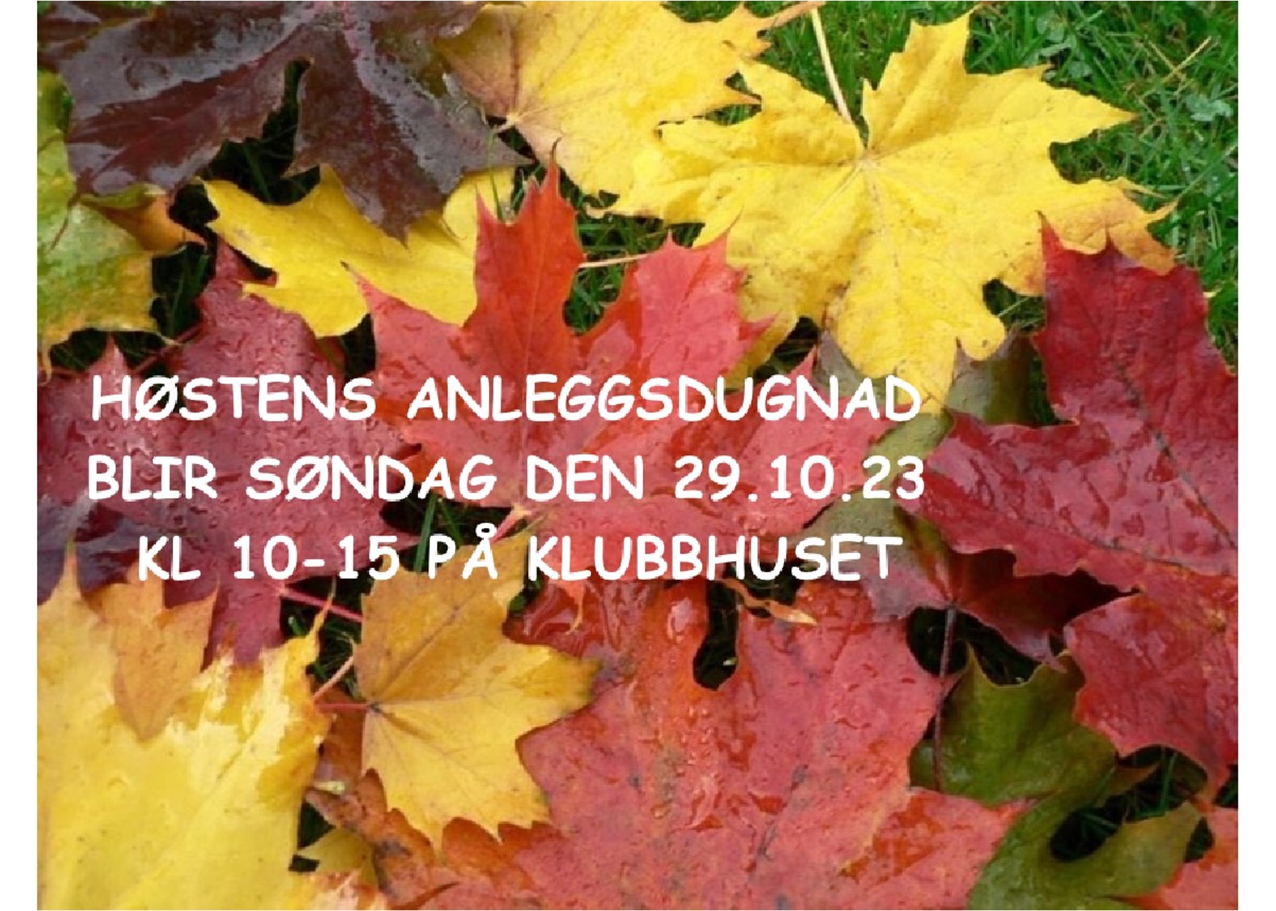 Høstens anleggsdugnad - 29.10.23
