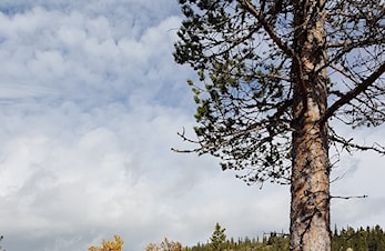 Tur-O-sesongen er over
