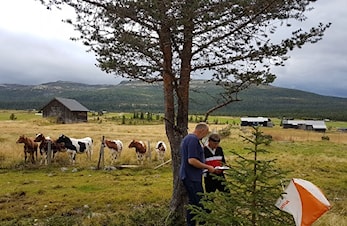 Sesongen er på hell