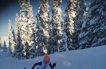 Karusellrenn 2019