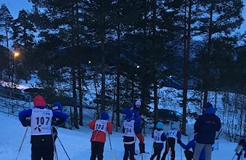 Tormodrennet 2019
