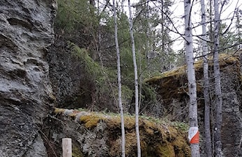 UKENS POST - fellestur