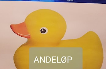 ANDELØP