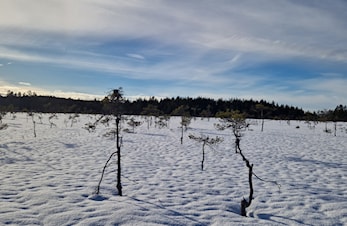 God Jul og Godt Nytt År!