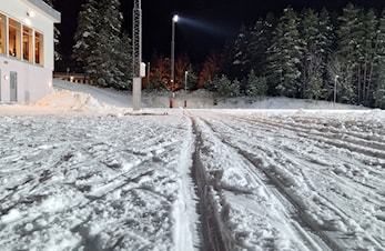 Massevis av skispor!