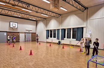 Allidretten 10. februar er ballspill i gymsalen
