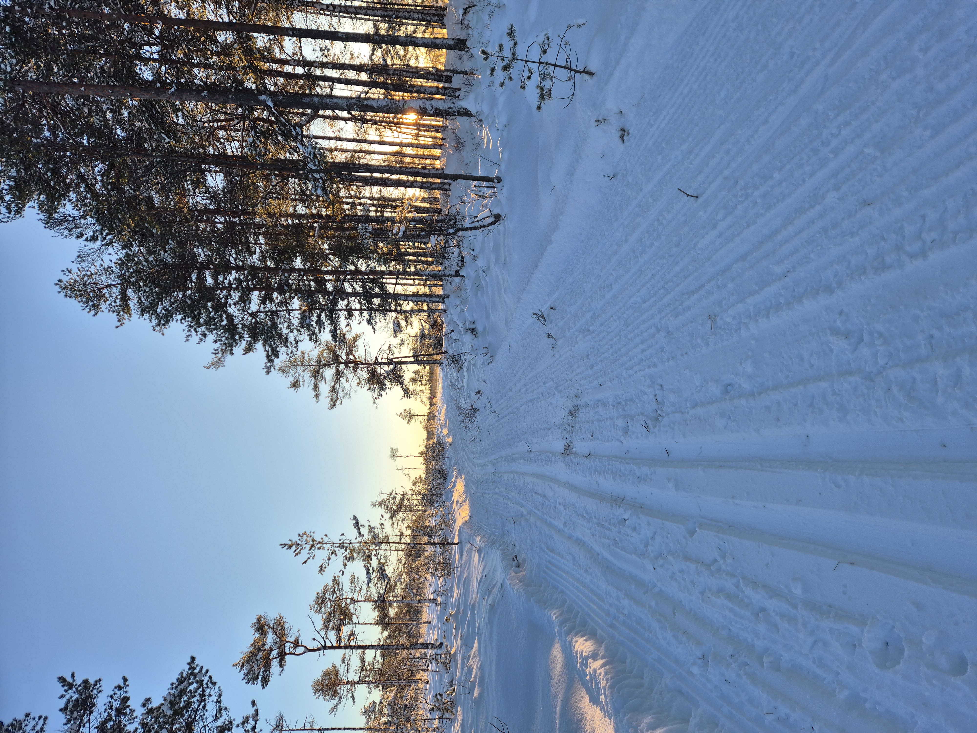 Image for Vinteren er her!