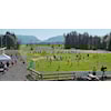 Bøgdacup Vårtun stadion