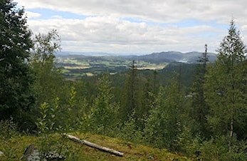 SMN-løpet Hosethkammen Opp 2025 - et bakkeløp for hele familien!